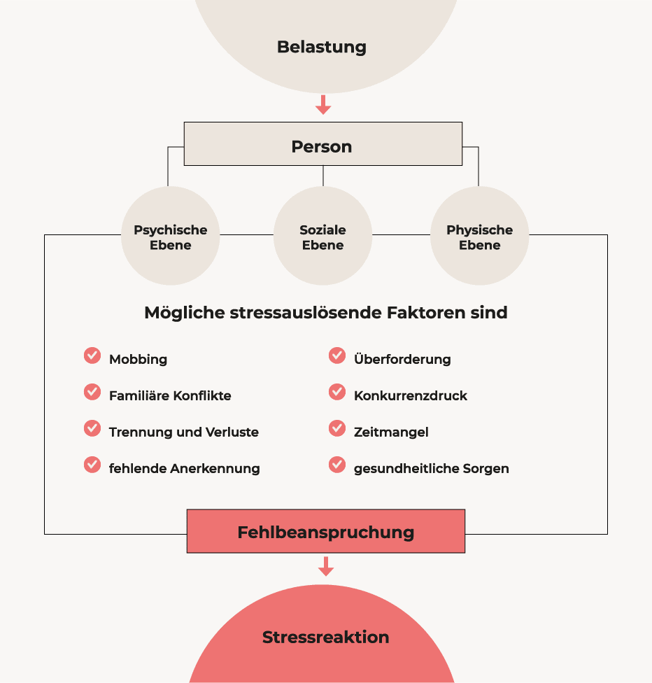 Anja Seehofer - Infografik